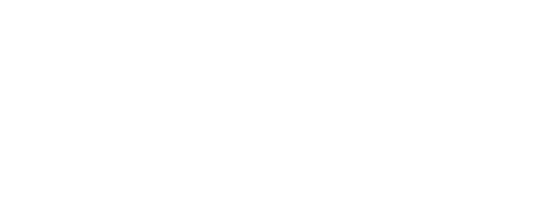 EMSI Logo